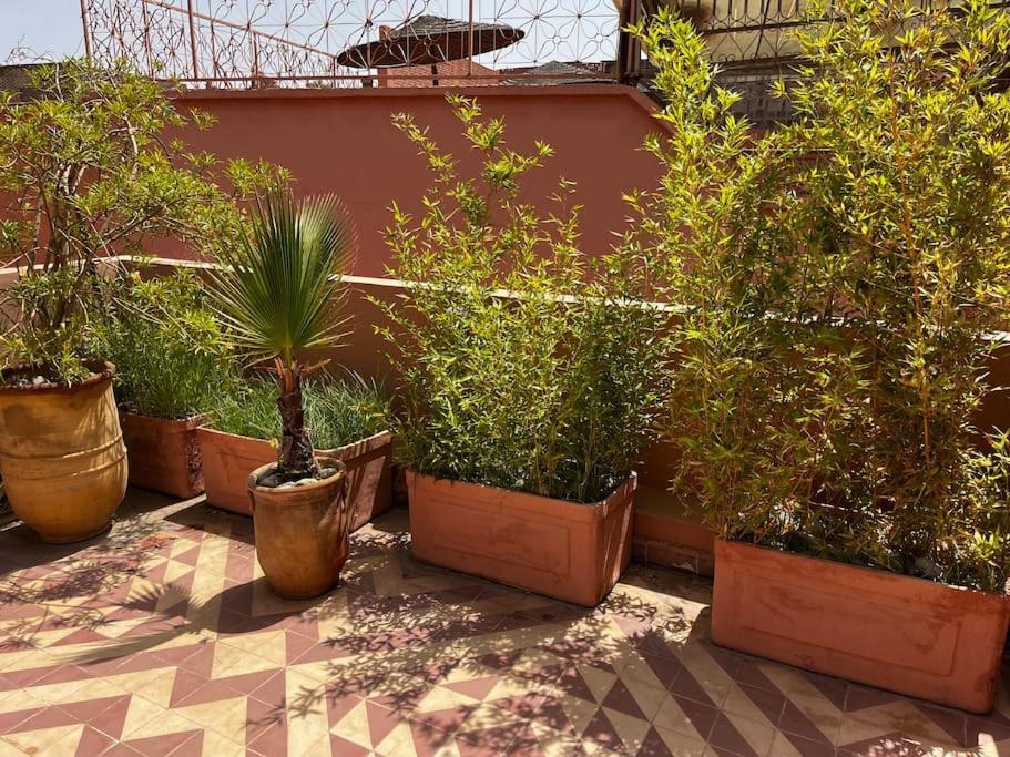 Riad Nadara, Superbe Riad Au Coeur De La Medina! Marrakesch Exterior foto